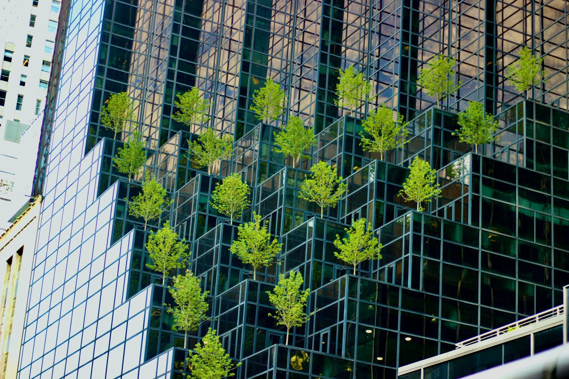 a group of plants growing on a metal fence